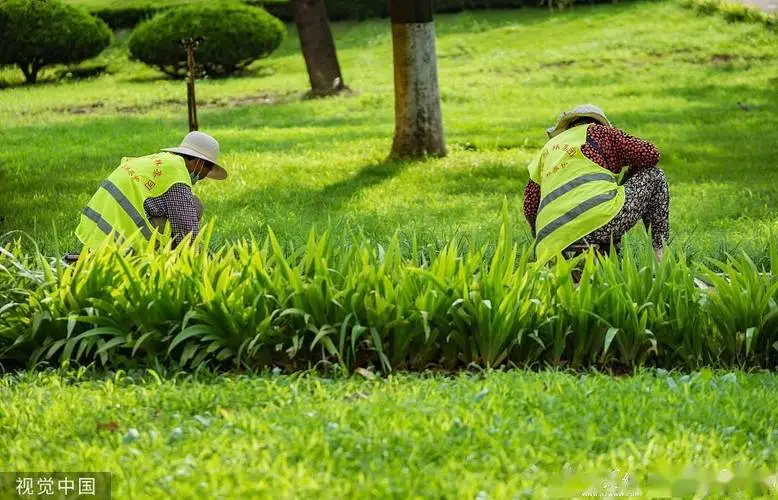 公共园林景观设计