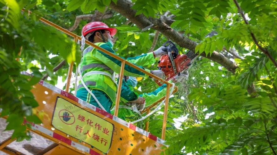 室外园林绿化工程分为几个分布